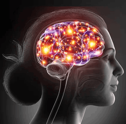 neuro thrive scientists